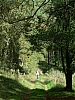 DSCN5880r.jpg DSCN5880r.jpg